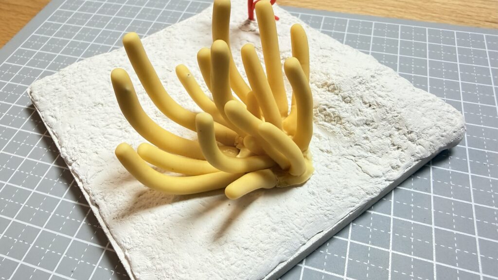 イソギンチャクのミニチュア