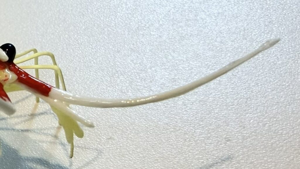 ミニチュアのエビ