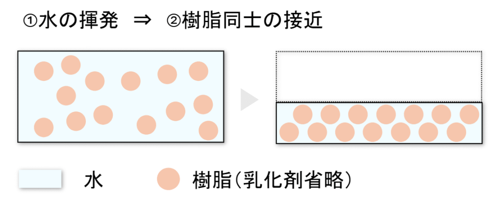 エマルションの塗膜化プロセス
