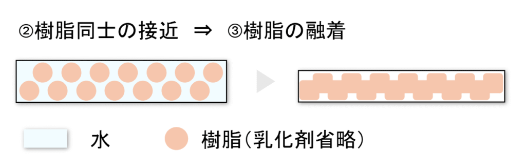 エマルションの塗膜化プロセス